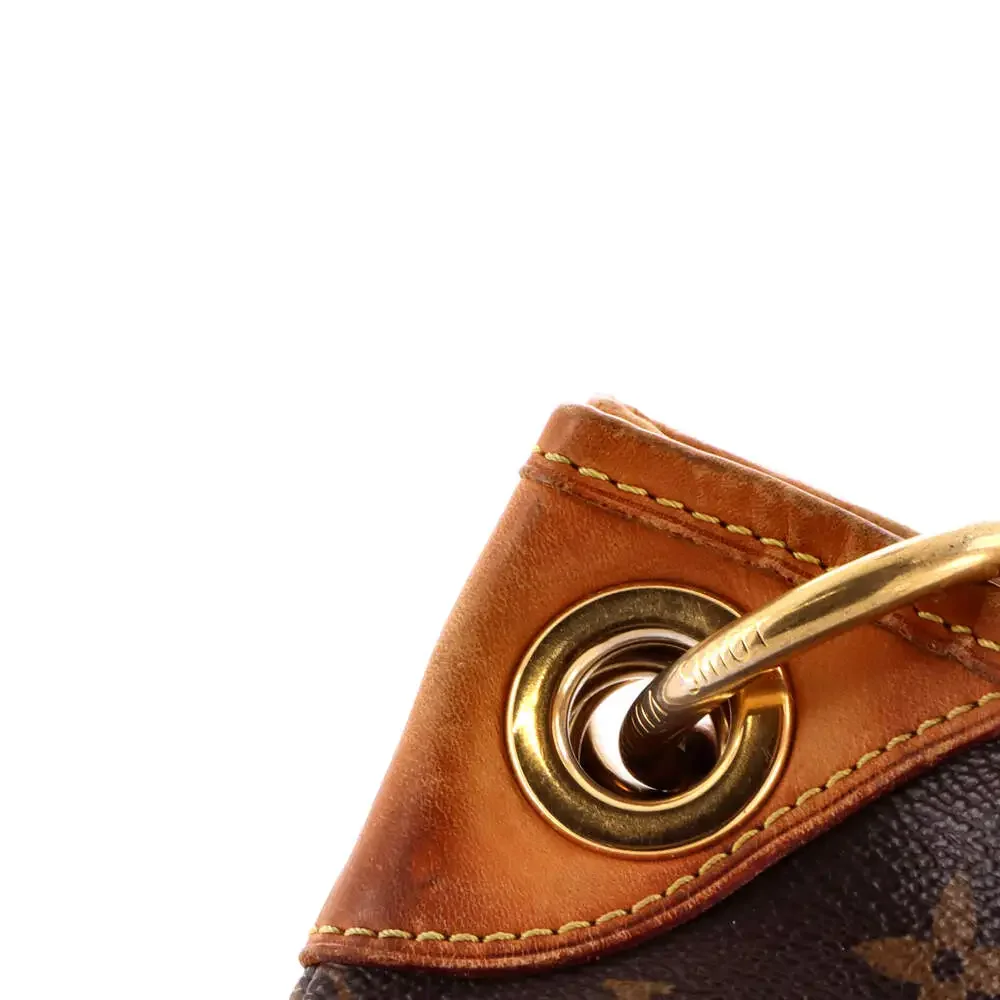 Louis Vuitton Galliera Handbag Canvas #234332L14B
